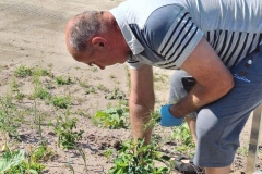 Uczestnicy ŚDS podczas prac w ogrodzie 